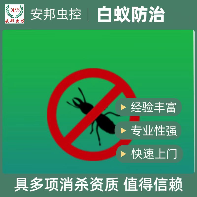 ��ρ����